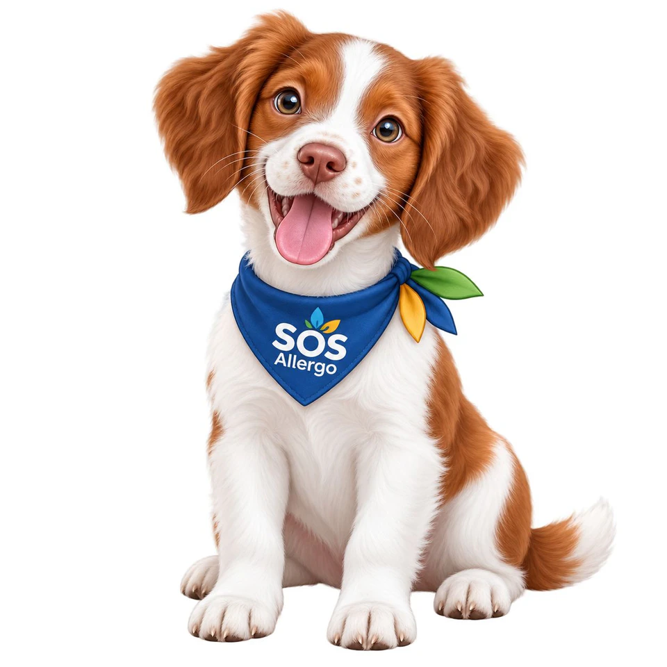 Yumi, le jeune chien mascotte de SOS Allergo, présent pour rassurer un enfant.
